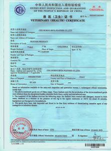 Épingle de chapeau de coq personnalisée magnifique avec garniture en plumes pour costume masculin DIY, accessoire de coiffure pour chapeau Fedora, motif teint - Product Image 6