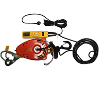 Palans électriques portables à câble métallique de 160 kg, câble de 5 mm, commande filaire et sans fil multi-vitesses pour le levage en ferme et en entrepôt