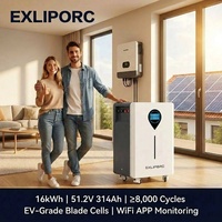 Sistem Baterai Surya Hibrida Grid 16kWh 51.2V 314Ah LiFePO4 8000 Siklus Perlindungan Kebakaran Aerosol BMS