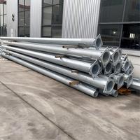 Fabricante de Postes de Alumbrado Público OEM ODM, 3m-30m, Acero Q355 Galvanizado en Caliente, Diseño Personalizado, CE ISO