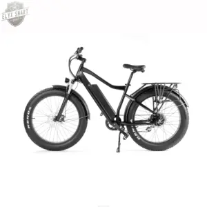 EU Duty Free Ares chino 500W 26 pulgadas 4,0 personalizado negro blanco Fat Tire Ebike bicicleta eléctrica bicicleta de montaña eléctrica