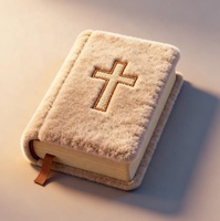 Oreiller en peluche personnalisé Bible avec broderie croisée souvenir religieux personnalisé écriture douce jouet en peluche chrétienne