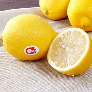 Fabricação chinesa frutas citrinas frescas alta nutrição limão amarelo