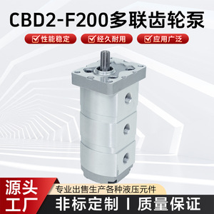Pompe à engrenages multi-étages suisse-chinoise CBD2-F200, 3 étages, pompe hydraulique électrique, pompe de surpression, pompe de lubrification - Product Image 5
