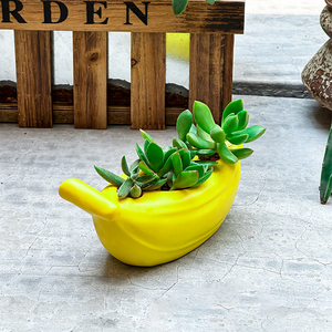 <span class=keywords><strong>Pot</strong></span> de fleurs créatif en résine époxy écologique pour petites plantes succulentes, 0,5 L, pour jardin extérieur, maison, bureau, durable - Product Image 1