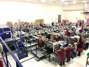 Unitec 4 lignes pour les cerises en Italie Ligne de classement de fruits d'occasion de grande taille Machine multifonctionnelle entièrement automatique - Product Image 3