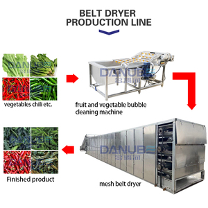 High Performance Mesh Belt Chili Dryer Chili Drying Equipment Vegetable Washing and Drying Production Line - Product Image 3
