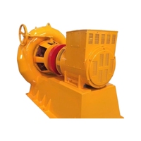 Turbin Air Impuls Pelton Horizontal Vertikal Mikro Mini, Peralatan Pembangkit Listrik Tenaga Air Francis