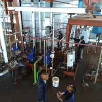 Lemo Complete Palmolie Molen Verwerkingsfabriek Oliepersmachine 1-3 Ton/Uur Capaciteit Automatische Hoge Veiligheid 380/440V