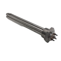 Elemento de calefacción de agua Solar, calentador Tubular sumergible para turbina aerogeneradora, energía Solar, 12v de CC, 300w