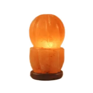 Wholesale Dimmer Switch Wooden Base Flower shape Crystal Rock Pink Himalayan Salt Lamp For Air Purification