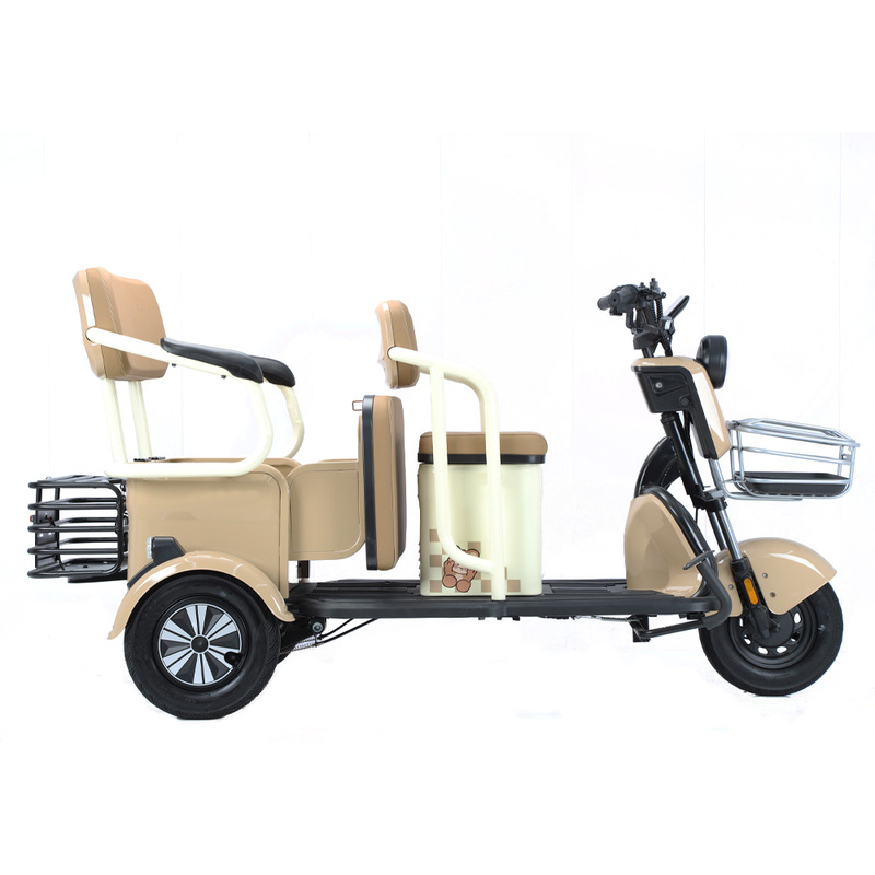 Wholesale 650W Ebike 3 Wheel Electric