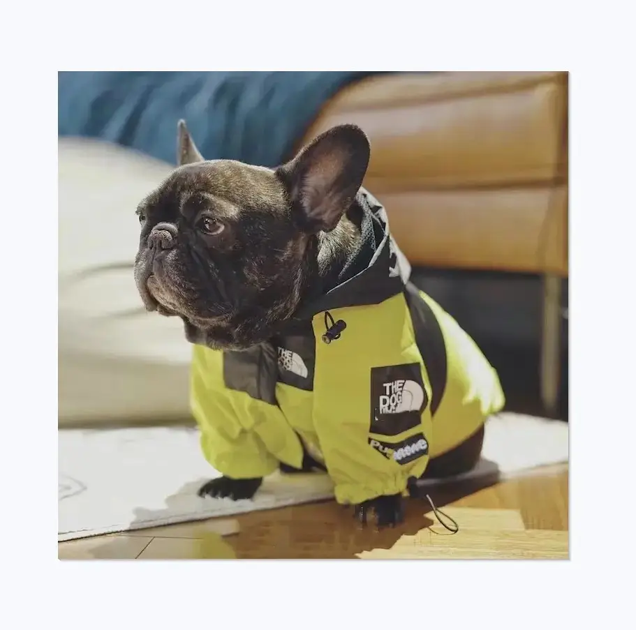 トレンディなブランドデザイン犬の顔と私たちの旗のデザインストリートファッションブルドッグファットペットジャケットレインコート