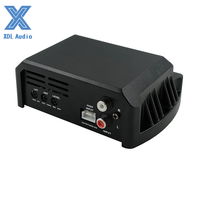 Mini amplificateur de classe D 400W*1CH avec crossovers et égaliseurs, système audio de voiture de style brésilien en fonte, mono