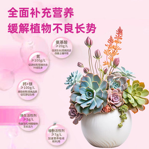 Solution nutritive revitalisante et fortifiante pour huit vieillards, 130 ml, nourriture liquide pour plantes, fleurs, plantes vertes, succulentes - Product Image 3