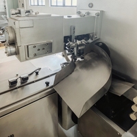 Machine d'emballage et d'alimentation automatique à double rouleau pour bonbons durs, à haute capacité, avec double alimentation par torsion
