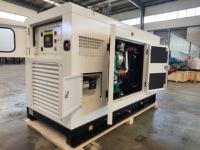 Groupe électrogène GPL Cummins 40 kW d'usine OEM, 230/400 V 50/60 Hz, démarrage électrique 24 V CC, alternateur sans balais 100 % cuivre pur