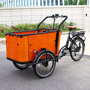 Tricycle Hollande pour adultes à des prix abordables, vélo <span class=keywords><strong>cargo</strong></span> électrique à trois roues avec chargement frontal et siège enfant, e-bike avec bâche contre la pluie - Product Image 2