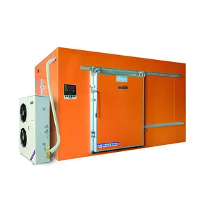 Sistema di raffreddamento per celle frigorifere di alta qualità armadio per celle frigorifere contenitore Mobile cella frigorifera