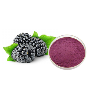 Suministro de Extracto de Morera de Alta Calidad / Polvo de Morera Morus Alba L. (Fam. Moracáceas) Moraceae) - Product Image 1
