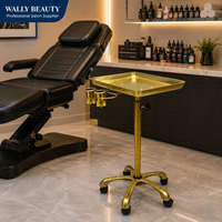 Plateau de travail mobile en acier inoxydable de haute qualité pour tatouage, réglable en hauteur, avec roulettes pour salon