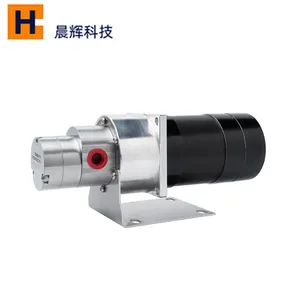 Chemical 24V DC Hot Water Transfer Pump Circulation Magnet Drive Pump Gear Lubrication Oil Pump With 80W /110W BLDC Motor