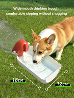 Bouteille d'eau portable pliable pour animaux de compagnie, idéale pour les voyages en extérieur, OEM ODM, gamelle de voyage pour chien, gamelles pour chien - Meilleure vente