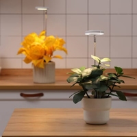 Boyid cincin malaikat LED kualitas tinggi USB Dimmable spektrum penuh lampu tanaman dalam ruangan pot bunga tumbuh dapat disesuaikan IP65 mekar