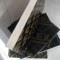 Oferta Especial: Contrachapado Fenólico de Álamo E1 de 4x8 pies con Película Negra para Construcción de Hoteles, Encofrados de 12mm y 18mm