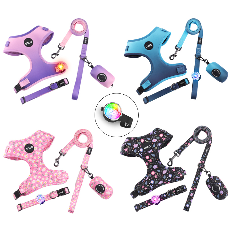 OEM ODM Factory Light up Dog