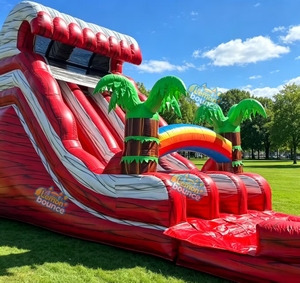 Toboggan aquatique gonflable tropical commercial en PVC robuste avec piscine à jets et <span class=keywords><strong>d</strong></span>écoration palmier pour la <span class=keywords><strong>location</strong></span> - Product Image 3