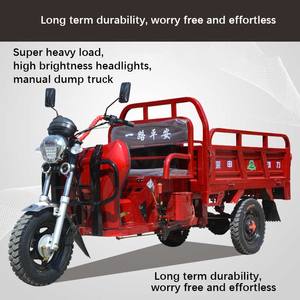 Tricycle Cargo de <span class=keywords><strong>Moto</strong></span> à Faible Consommation de Carburant, Tricycle à Moteur 3 <span class=keywords><strong>Roues</strong></span>, Tricycle Motorisé à Essence - Product Image 5