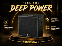 Subwoofer audio haute résolution I.E.voice SUB112 ODM/OEM de 12 pouces, en contreplaqué de bouleau et métal, avec aimant en ferrite, impédance de 8,0 ohms