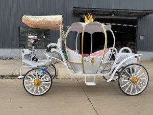 HengYiSheng Carrosse Électrique Citrouille Royale - Utilisation Mariages et Parcs d'Attractions Origine Henan - Product Image 6