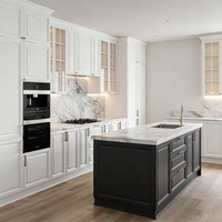 Armoire de cuisine RTA en bois, style Shaker blanc, contreplaqué et bois massif, pour distributeurs en gros et revente