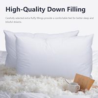 Oreiller en duvet de canard, fermeté moyenne, soutien optimal, literie d'hôtel, blanc, certifié BSCI RDS