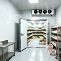 Chambre froide à économie d'énergie pour la viande ; Panneaux isolants ignifuges B1 pour la sécurité alimentaire ; Chambre froide personnalisée pour la transformation de la viande