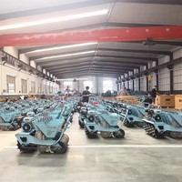 Semoir à Ail 6 Rangs pour Tracteur