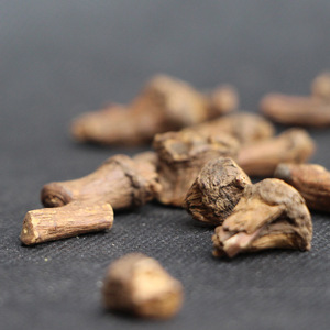 Rễ Bồ Công Anh Tự Nhiên Cho Rễ Trà Bồ Công Anh Hữu Cơ - Product Image 3