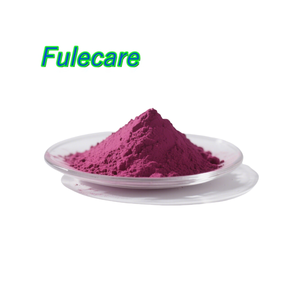 Polvere di barbabietola di alta qualità | 100% naturale alla rinfusa Beta VulgarisFruit in polvere - Product Image 2