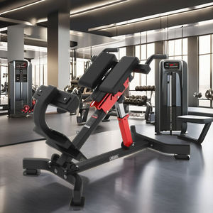 Chaise romaine d'extension dorsale à 45 degrés avec plaque de fixation antidérapante pour les pieds, banc d'entraînement corporel stable, vente en gros directe d'usine, faible MOQ - Product Image 3