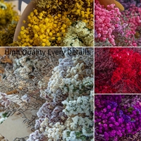 Lovebay Konservierte Schleierkraut-Blumen, Unvergänglicher Kristallgras-Strauß, Echte Getrocknete Blumen für Heim- und Hochzeitsdekoration