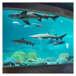<span class=keywords><strong>Aquarium</strong></span> public de musée marin en acrylique sur mesure de 50 à 700 mm - Product Image 3