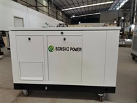 Erdgas/LPG/Benzin Luftgekühlter Auto/Fernstart Tragbarer Generator 10-30kW mit ATS