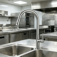 Robinet de cuisine commercial en acier inoxydable robuste à montage sur plan, eau froide, rotation à 360°, flexible et extractible
