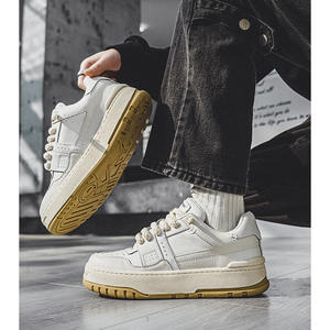 Chaussures de skate respirantes tendance, semelles épaisses, chaussures décontractées rétro de haute qualité pour hommes, maille, printemps, jour, Fat Ding, augmentation de la taille - Product Image 4