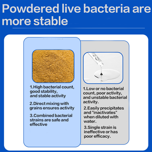 Suplementos Probióticos para la Salud de las Aves, Polvo para Loros, Suplementos Nutricionales, Salud Gastrointestinal, Digestión Lenta - Product Image 3