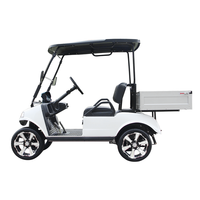 Nouvelle Voiture Utilitaire Tout-Terrain Scooter Électrique Chariot de Golf 48V Beige Mercedes G Wagon AC EV48-400 Moteur 105AH Lithium