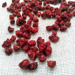 武威子卸売シスランダ・チネンシス乾燥シスランダ果実 - Product Image 3