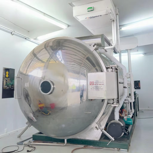 Nuevo Liofilizador Automático Comercial de Acero Inoxidable al Vacío WHFD-100 Máquina de Secado por Congelación y Sublimación para Procesamiento de Alimentos - Product Image 1